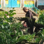 На Вінниччині стихія повалила дерева на території дитячого садочка (ФОТО)