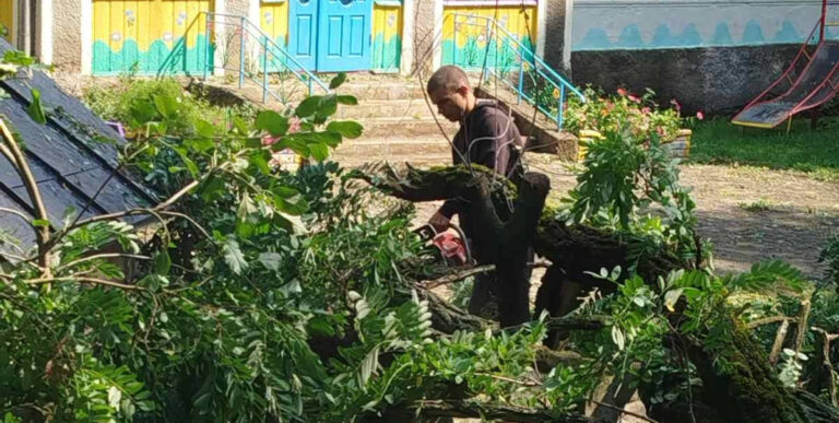 На Вінниччині стихія повалила дерева на території дитячого садочка (ФОТО)