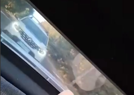 На Вінниччині водій з родиною в автомобілі тікав від поліції та ТЦК: деталі інциденту