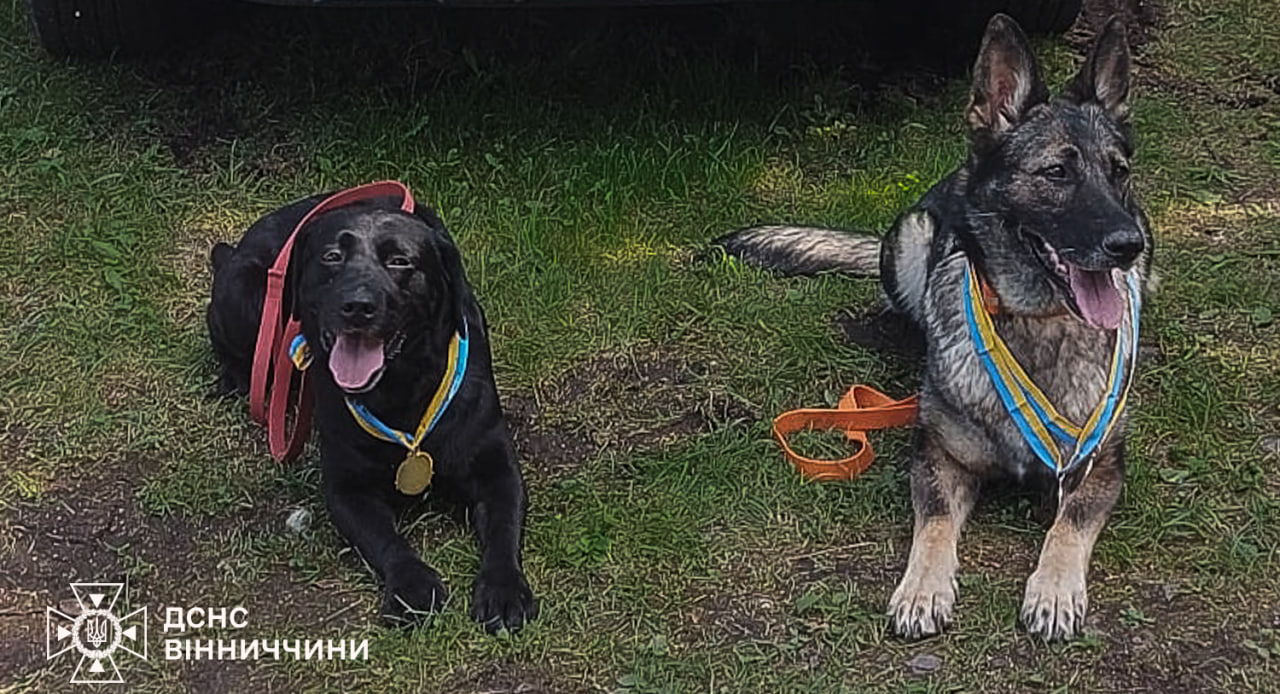 Вінницькі чотирилапі рятувальники Норіс і Фріда підкорили всеукраїнські змагання ДСНС
