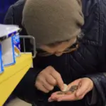 З’явились приблизні підрахунки, як мають зрости пенсії українців у 2026 році