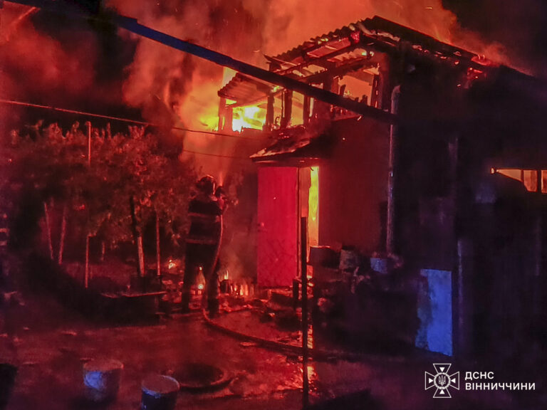 Горіло авто та господарські споруди: які наслідки пожеж на Вінниччині (ФОТО)