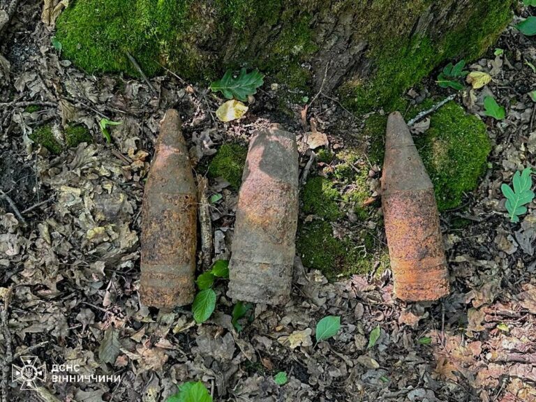 У лісі біля Браїлова знайшли снаряди Другої світової