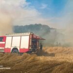 На Вінниччині за добу згоріло понад 5 гектарів землі