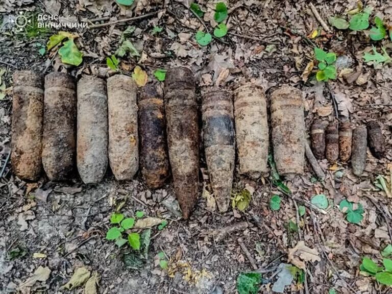 На Вінниччині сапери знищили 17 боєприпасів часів Другої світової