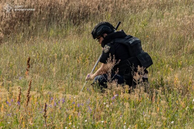 Рятувальники знищили три артилерійські снаряди у Браїлові