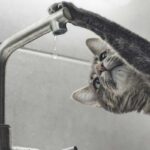 Вінничан попереджають про тимчасове відключення води та світла