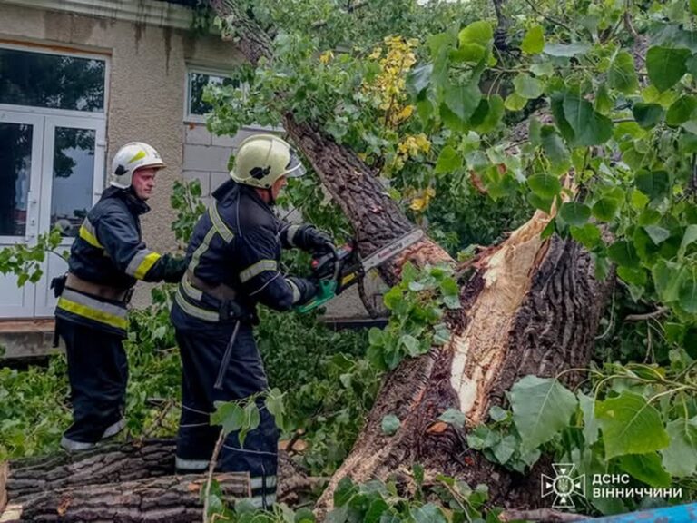 Стихія вирувала: як на Вінниччині рятувальники боролися з наслідками негоди (ФОТО)
