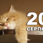 Яке 20 серпня свято — все про цей день, яке церковне свято, що не можна робити
