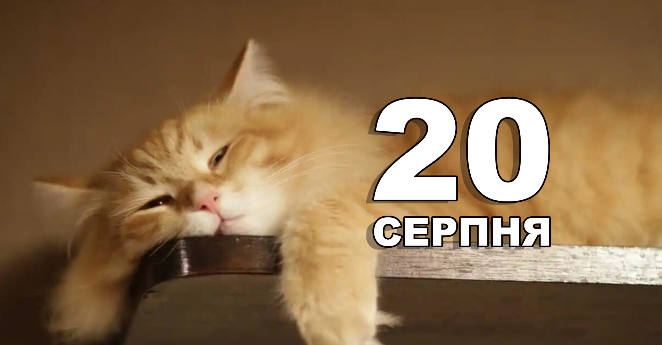 Шаблон_копія