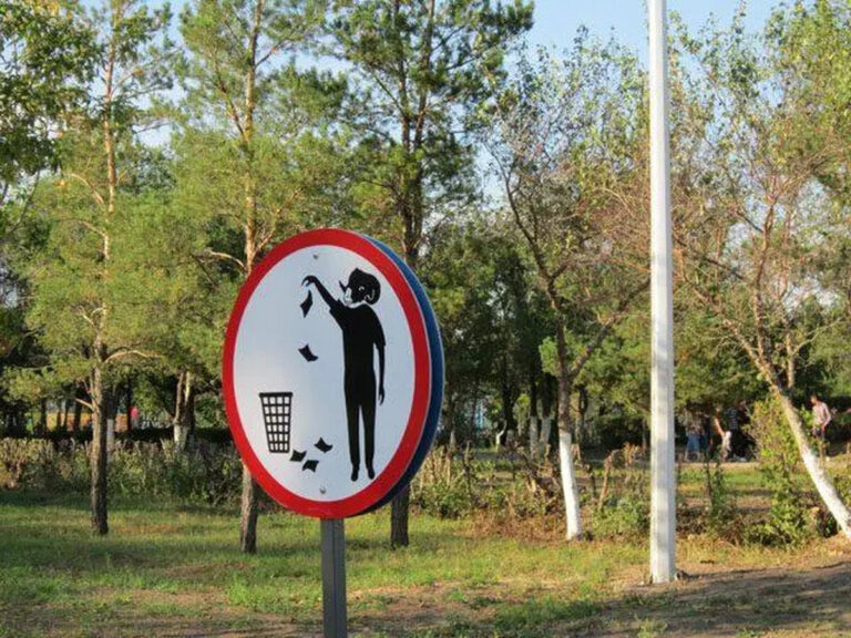 Викидав сміття просто на узбіччя: порушника оштрафували