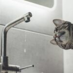 Масштабне відключення води: коли майже вся Вінниця залишиться без водопостачання