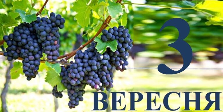 Яке 3 вересня свято — все про цей день, яке церковне свято, що не можна робити