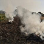 У Вінниці та Гавришівці спіймали порушників, які палили рослинні відходи
