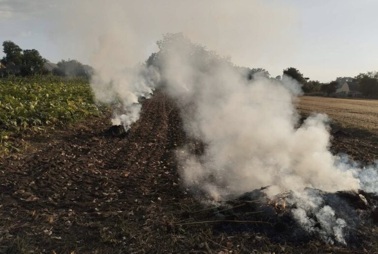 У Вінниці та Гавришівці спіймали порушників, які палили рослинні відходи