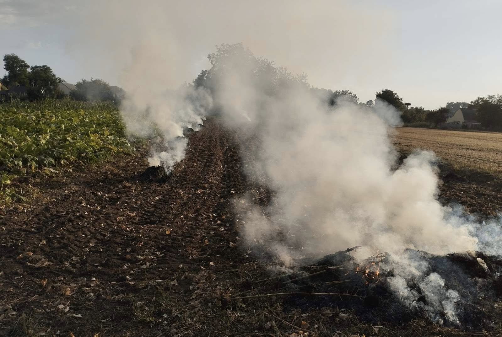 У Вінниці та Гавришівці спіймали порушників, які палили рослинні відходи