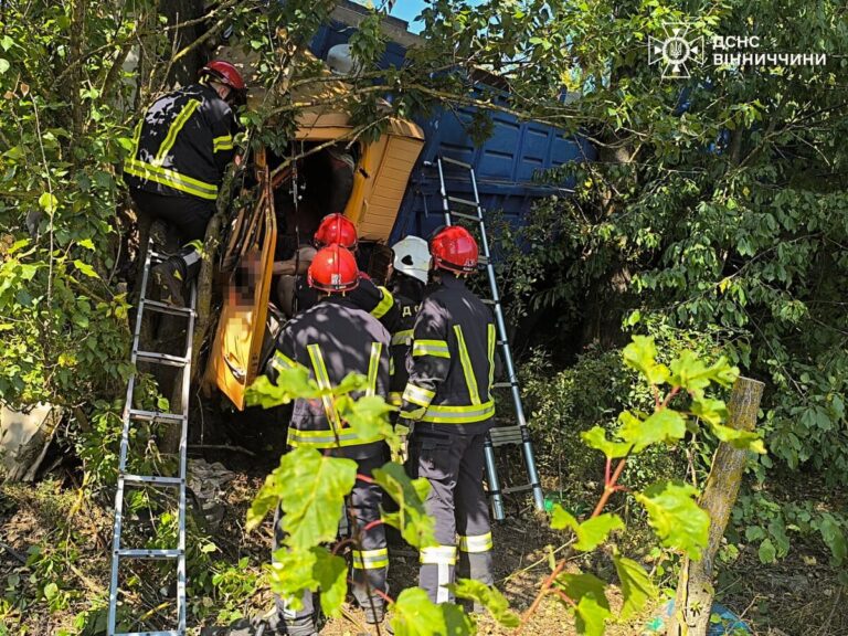 На Вінниччині вантажівка злетіла в кювет і врізалася в дерево