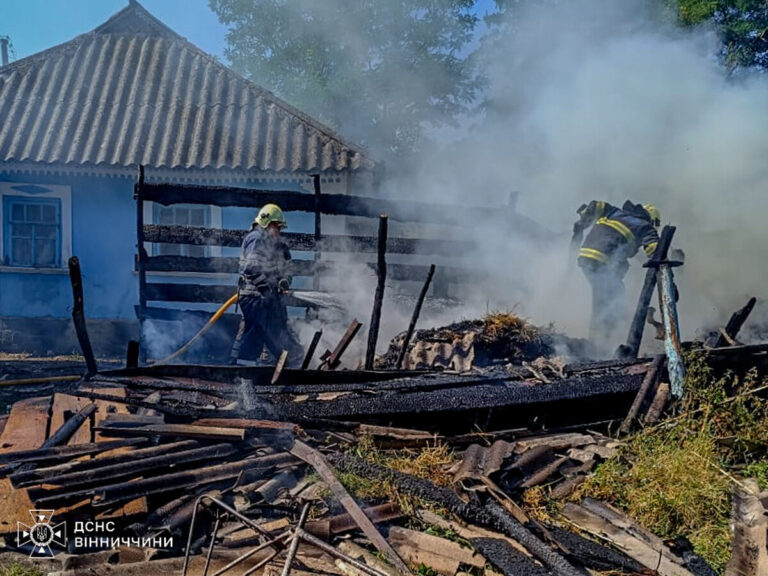 На Вінниччині 5-річна дитина спричинила пожежу: згорів центнер сіна