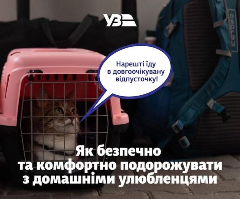 Укрзалізниця оновила правила перевезення тварин: великі собаки тепер можуть подорожувати у всіх вагонах