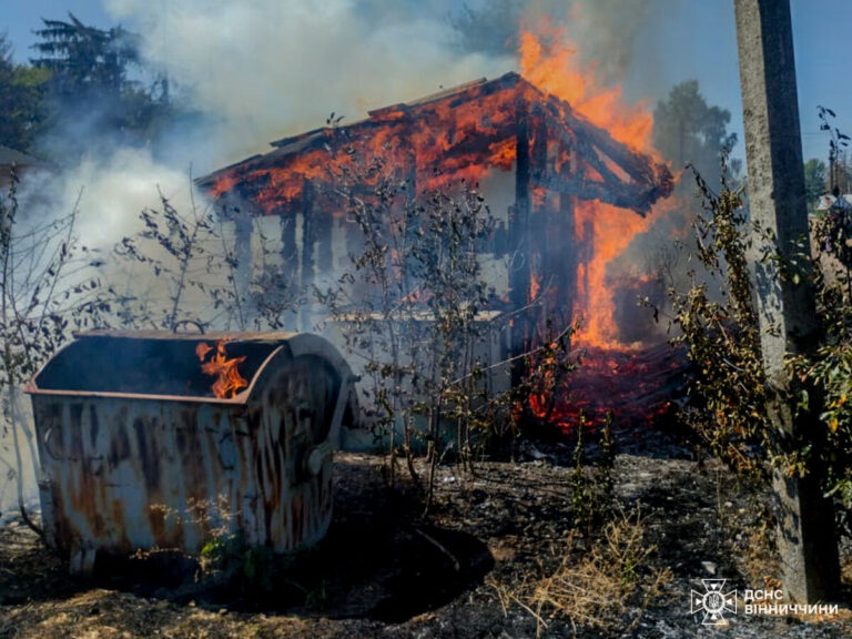 Палає вся область: на Вінниччині ліквідували 19 пожеж за добу