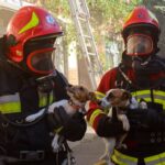 У Вінниці рятувальники ліквідували пожежу та врятували домашніх улюбленців