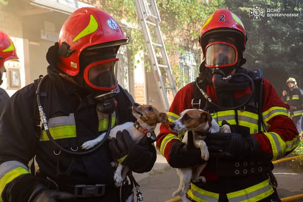 У Вінниці рятувальники ліквідували пожежу та врятували домашніх улюбленців