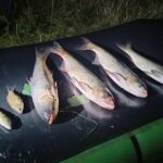Інспектори рибоохоронного патруля Вінниччини зафіксували факт порушення правил рибальства