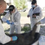 Кожна деталь має значення: у Вінниці ідентифікують тіла загиблих Захисників
