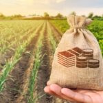 У Вінниці продають землю для бізнесу: коли та де відбудуться відкриті торги