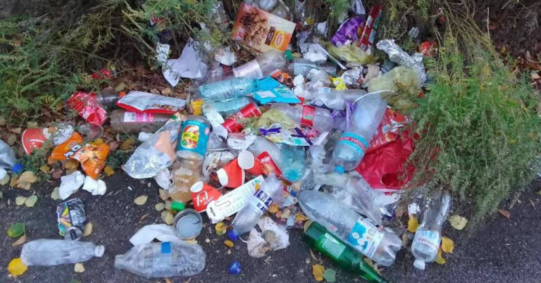 Знову сміття на узбіччях: як хасиди залишили свій слід у селі на Вінниччині (ФОТО)
