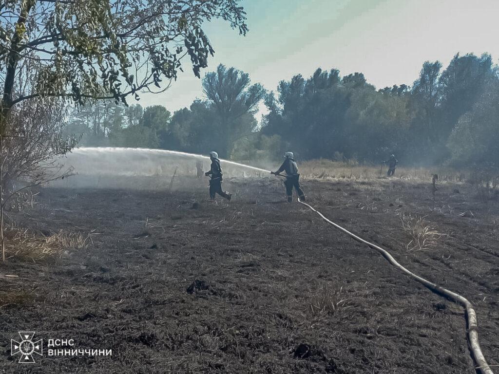 Чоловік постраждав у пожежі на Вінниччині: рідні врятували до приїзду ДСНС
