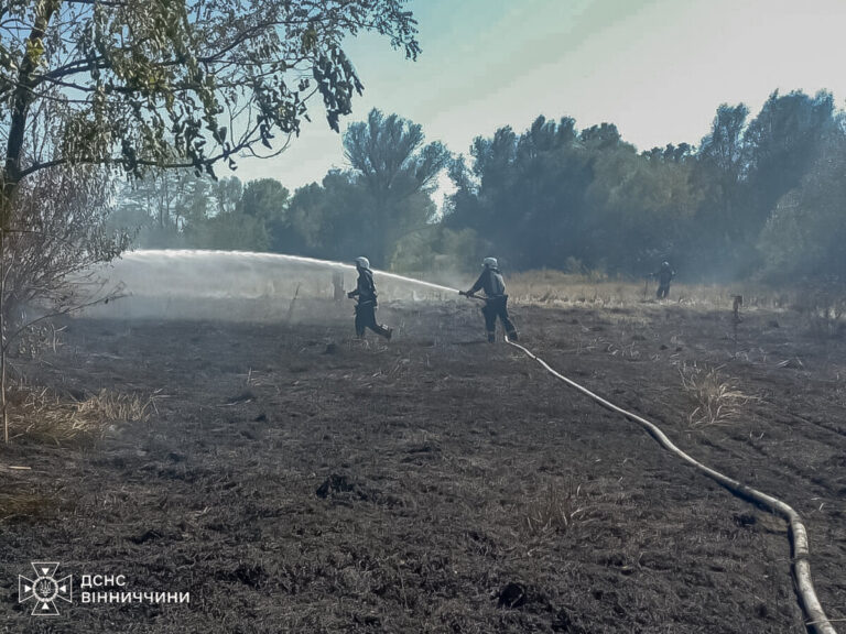 Чоловік постраждав у пожежі на Вінниччині: рідні врятували до приїзду ДСНС