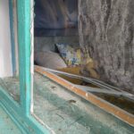 Ворожий БпЛА атакував село Бершадської громади: пошкоджено житлові будинки