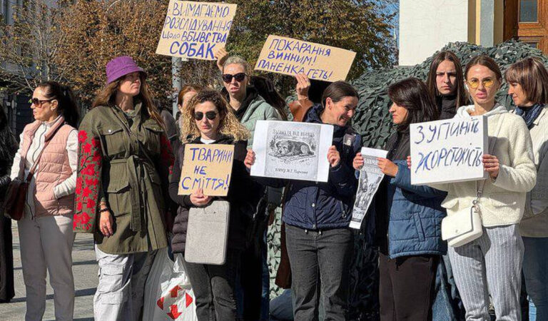 У Вінниці зоозахисники вийшли на мітинг через отруєння собак на території Пироговки (ФОТО)