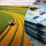 В Україні дешевшає земля: на скільки впала ціна за гектар