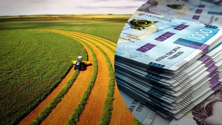 В Україні дешевшає земля: на скільки впала ціна за гектар