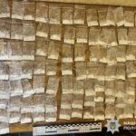 На Вінниччині судитимуть драг-дилера, у якого вилучили понад 300 доз амфетаміну
