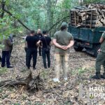 Завдали збитків на понад 6 млн грн: у Гайсинському районі викрили “чорних лісорубів”