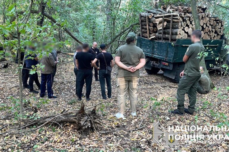 Завдали збитків на понад 6 млн грн: у Гайсинському районі викрили “чорних лісорубів”