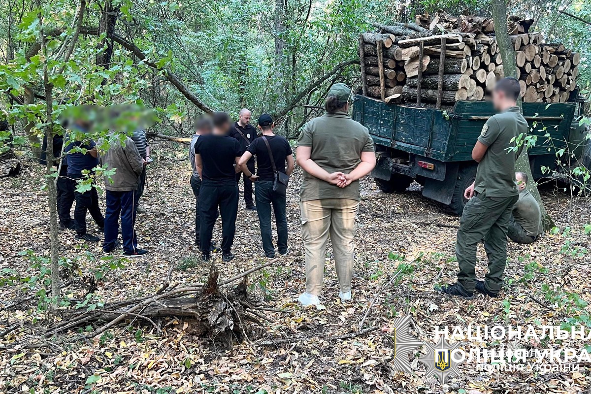 Завдали збитків на понад 6 млн грн: у Гайсинському районі викрили “чорних лісорубів”