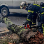 Стихія вирує: у Вінниці на автомобіль впало дерево