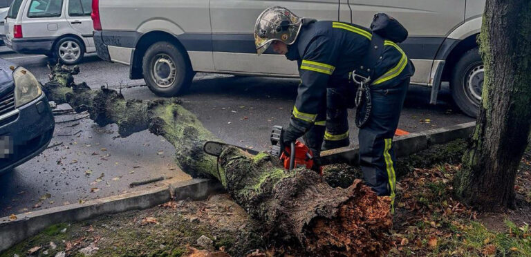 Стихія вирує: у Вінниці на автомобіль впало дерево