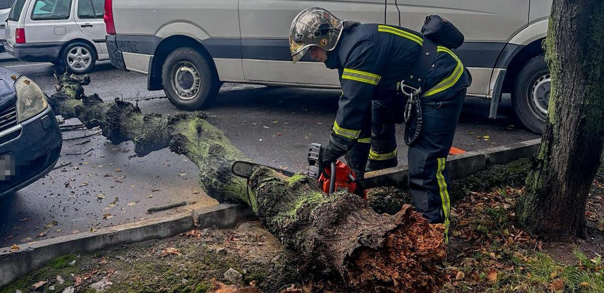 Стихія вирує: у Вінниці на автомобіль впало дерево