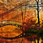 Куди поїхати восени: 8 найкрасивіших дендропарків України (ФОТО)