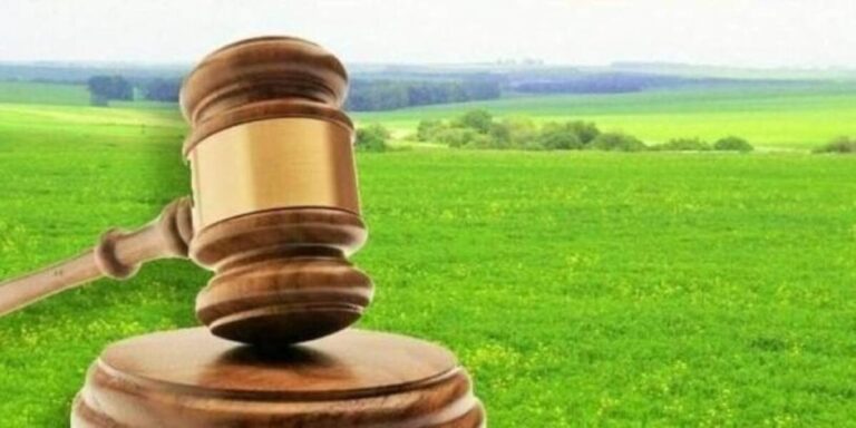 У Вінниці виставили на аукціон 8 гектарів землі під промисловість