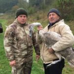 На Вінниччині врятували травмованого лебедя