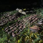 На Вінниччині спіймали браконьєра з уловом на понад 700 тисяч гривень