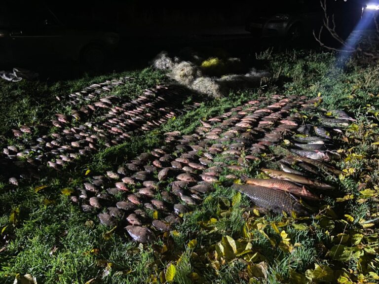 На Вінниччині спіймали браконьєра з уловом на понад 700 тисяч гривень