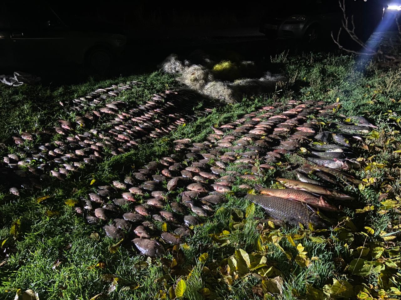 На Вінниччині спіймали браконьєра з уловом на понад 700 тисяч гривень