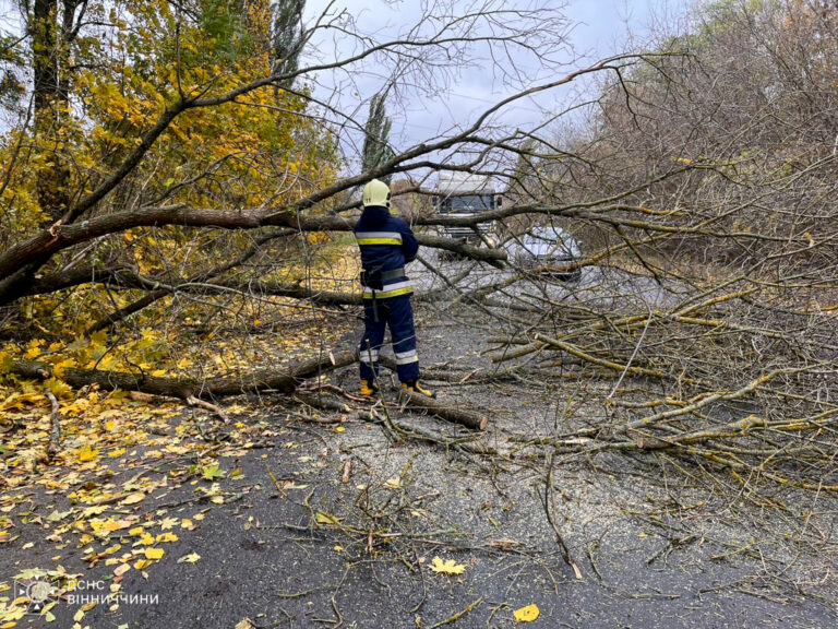 ДСНС чотири рази виїжджала на ліквідацію наслідків негоди в області